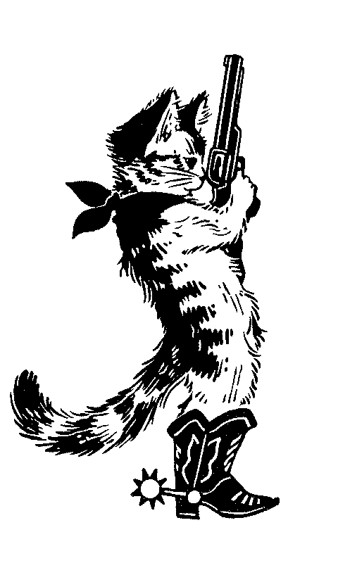 cowboycat