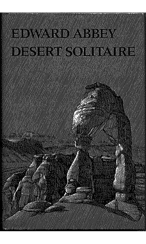 desertsolitaire