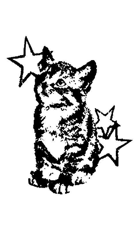 starcat