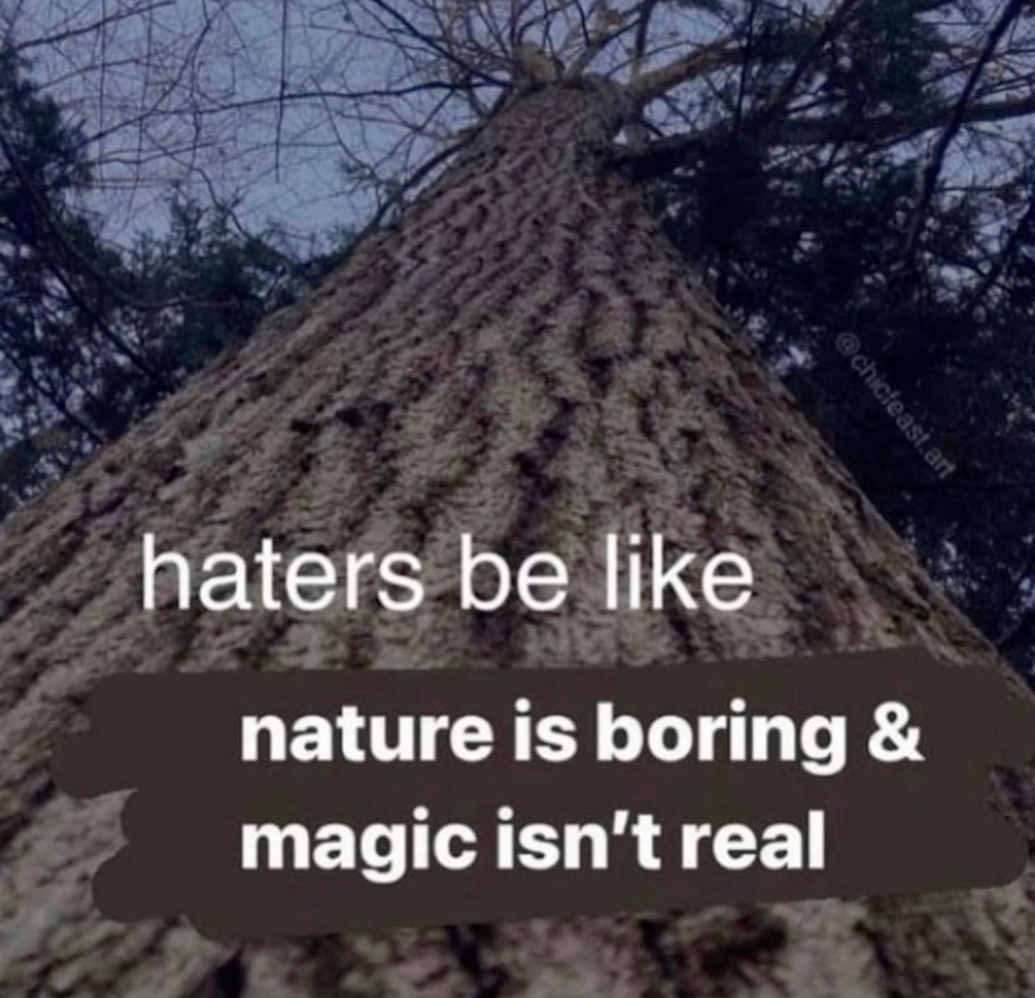 haters